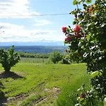 Tra... Monti E Vigne La Morra