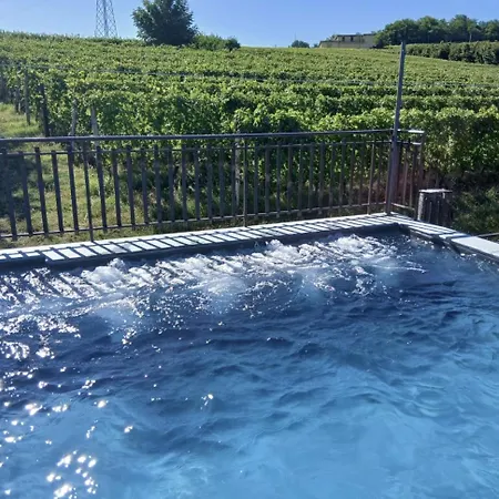 Tra... Monti E Vigne