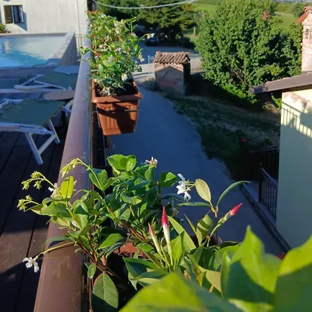 Tra... Monti E Vigne Frühstückspension La Morra