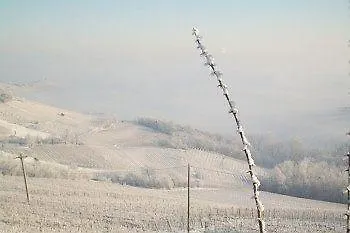 Tra... Monti E Vigne Frühstückspension La Morra